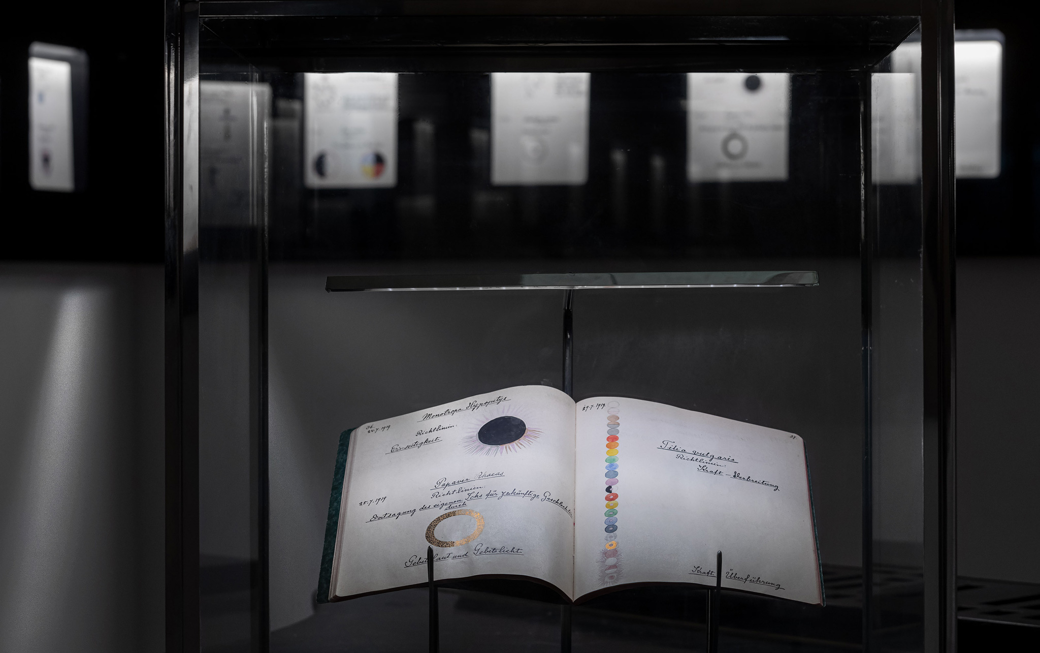 Exhibition at Rub Gallery: Hilma af Klint